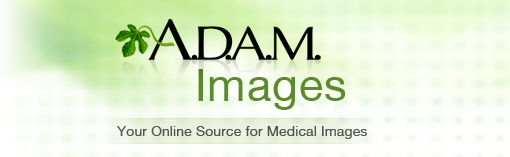 A.D.A.M. Images
